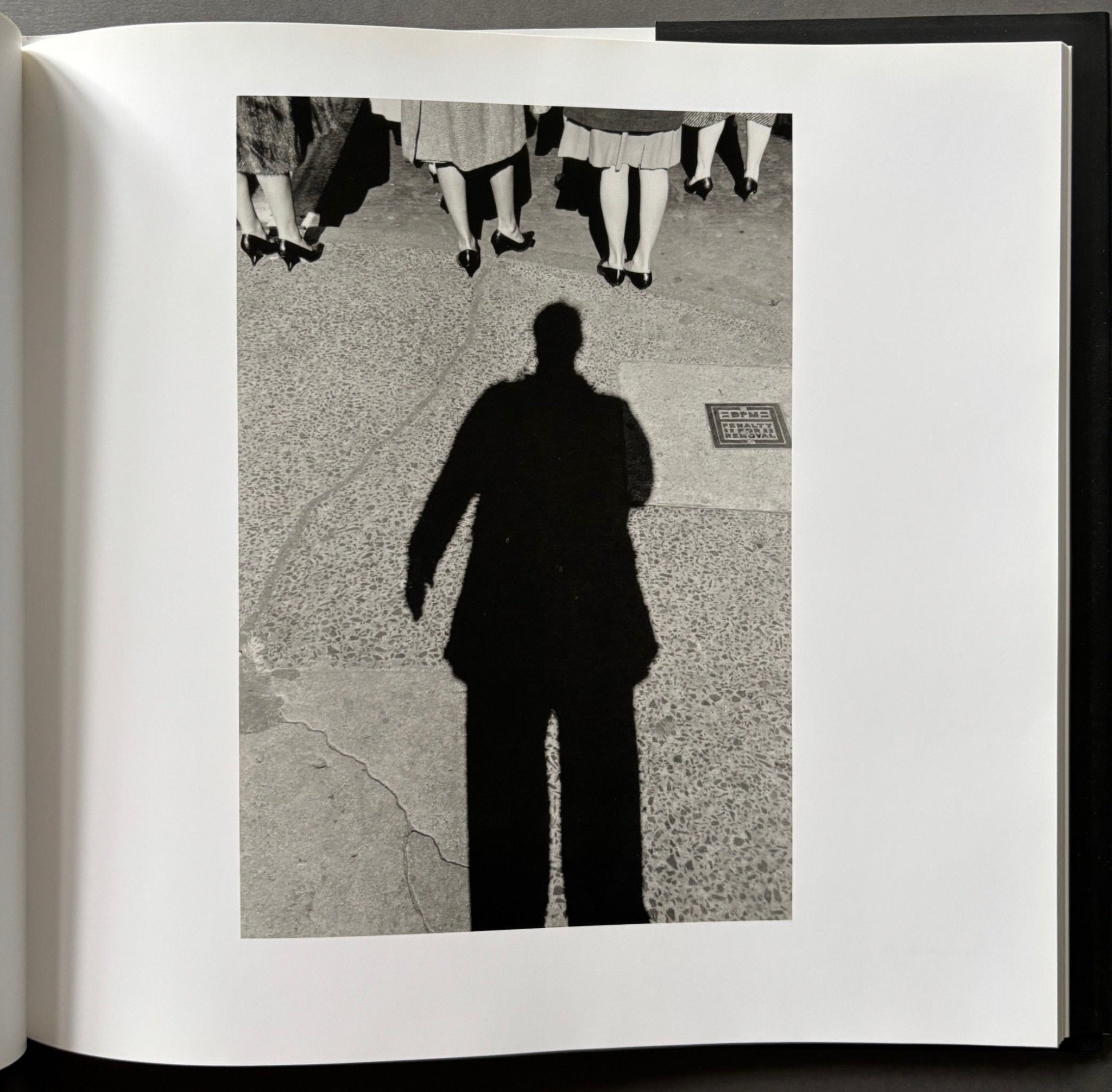 Buy Self Portrait by Lee Friedlander – Setanta Books