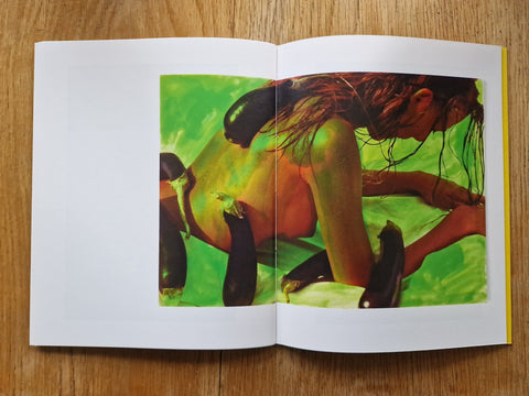 Self Portraits 1989 - 1999 - Setanta Books