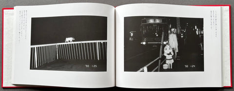 Sentimental Journey/Winter Journey - Setanta Books