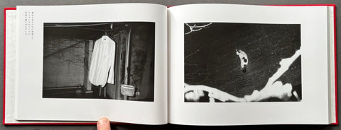 Sentimental Journey/Winter Journey - Setanta Books