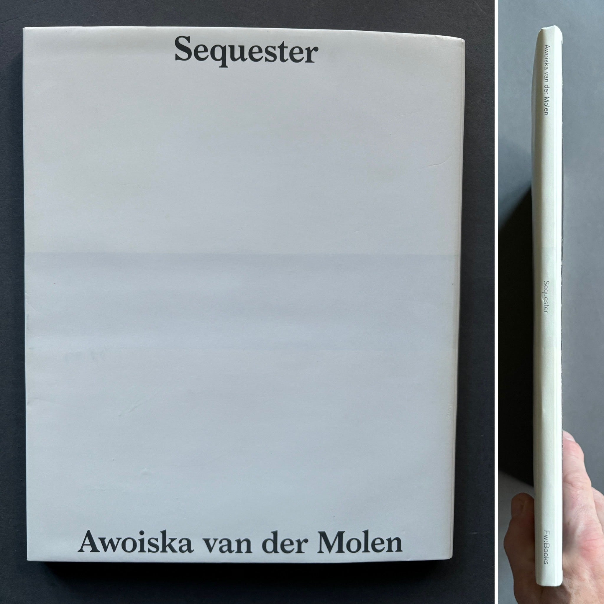 Buy Sequester by Awoiska van der Molen – Setanta Books