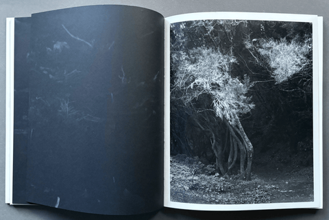 Sequester - Setanta Books