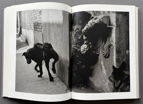 Sergio Larrain
