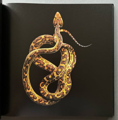 Serpentine - Setanta Books