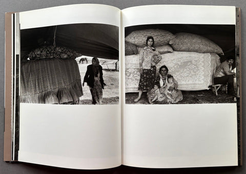 Shaking the Dust of Ages: Gypsies and Wanderers of the Central Asian Steppe - Setanta Books