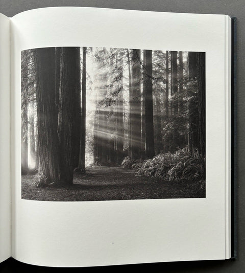 Shanti: The Sea Ranch And Around - Setanta Books