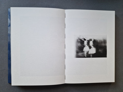 Shimmers - Setanta Books