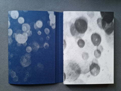 Shimmers - Setanta Books