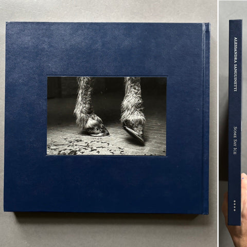 Some Say Ice (1st Edition)