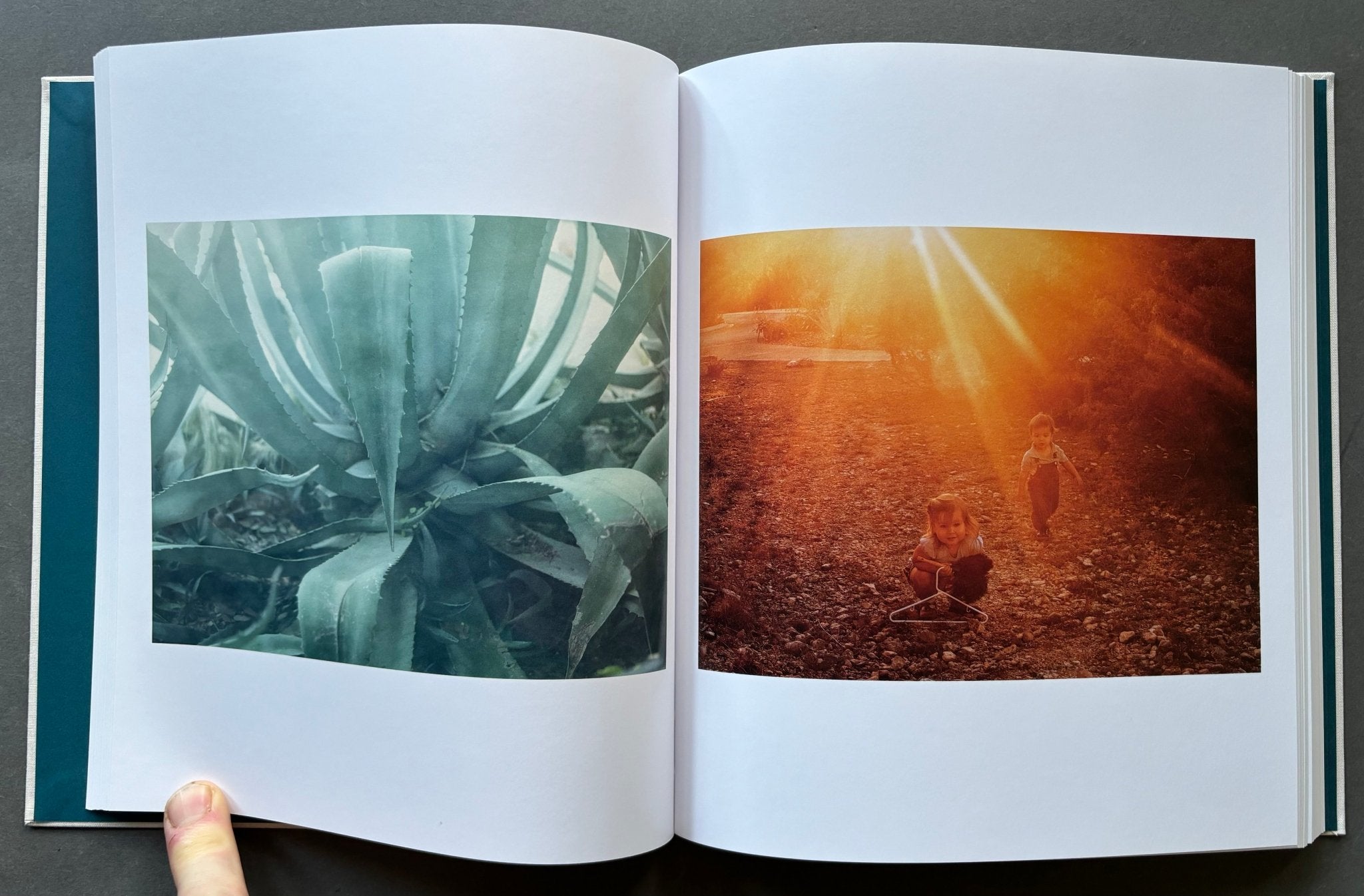 Buy Son by Christopher Anderson Online – Setanta Books