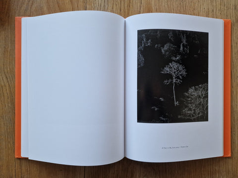 Song of Lao - Setanta Books