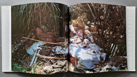 Sons of Adam: Landscapes for the Homeless II - Setanta Books