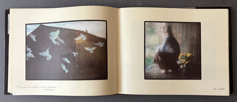 An open art book or portfolio laid flat on a dark surface, showing two printed artworks on cream pages. The left page contains a dark-toned painting with white birds flying near a roofline, and the right page shows a seated woman in a dim interior with yellow flowers in the foreground.
