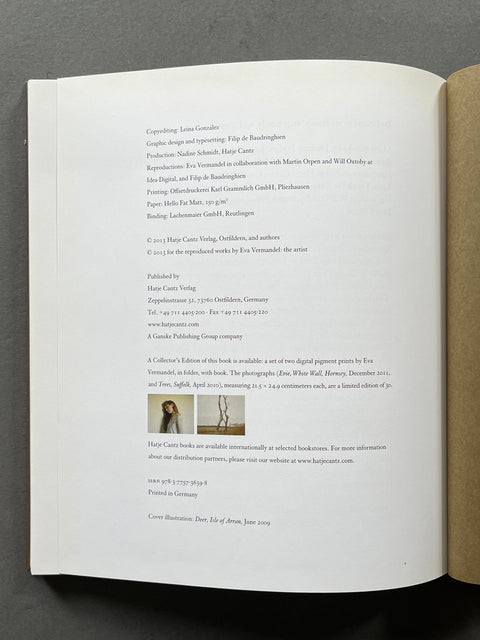 Splinter - Setanta Books