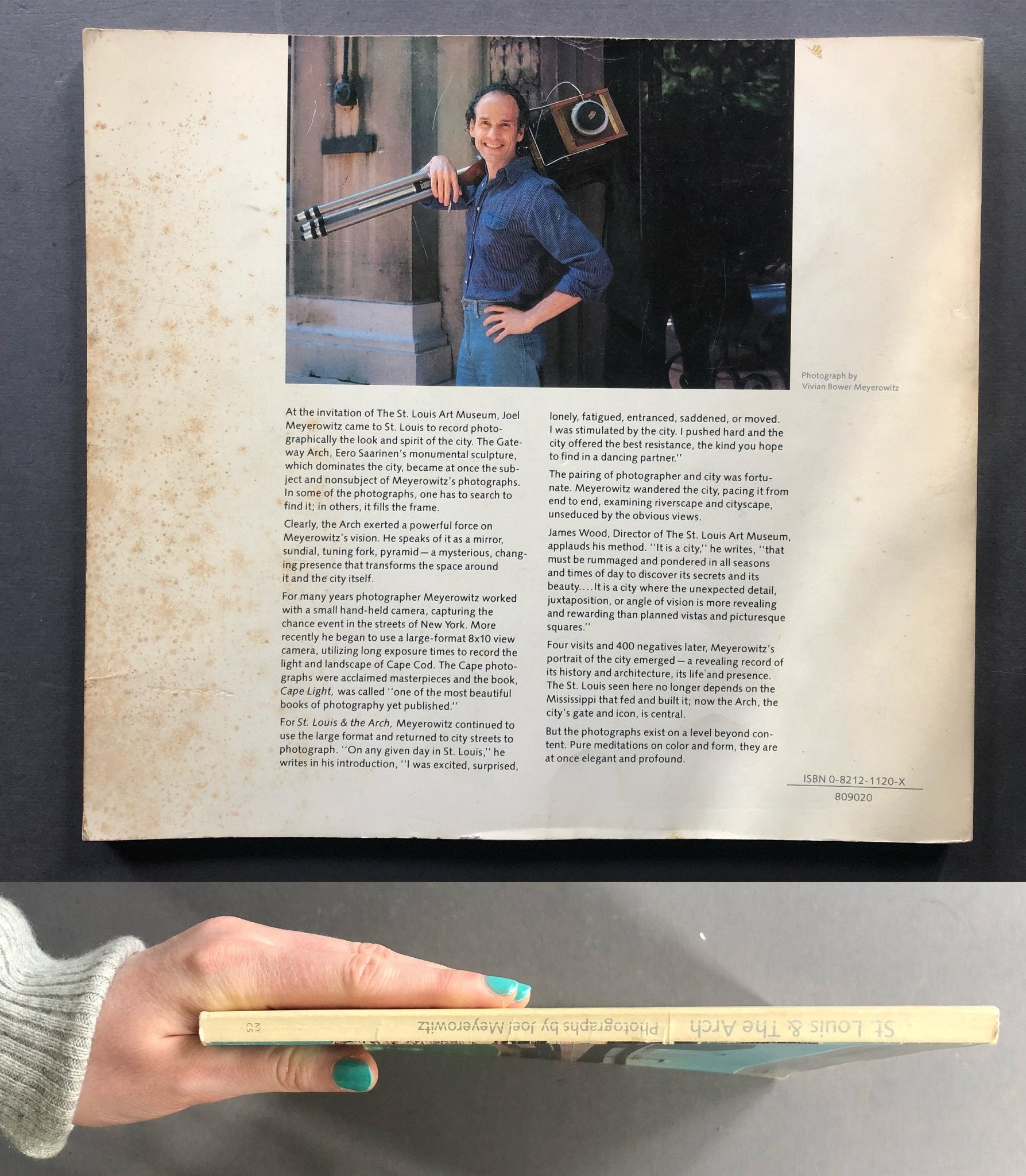 Buy St. Louis and the Arch by Joel Meyerowitz Online – Setanta Books