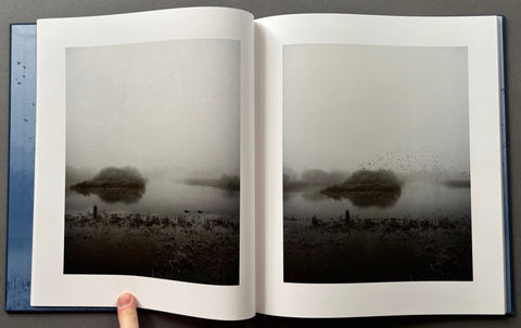 Starlings - with signed print - Setanta Books