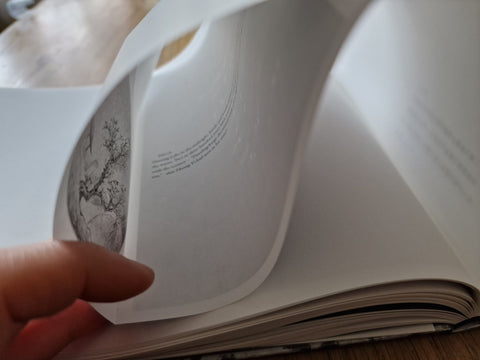 Steles: Huang Yi Project - Setanta Books