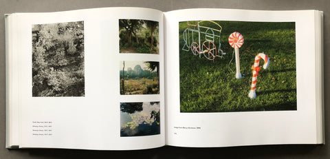 Stephen Shore