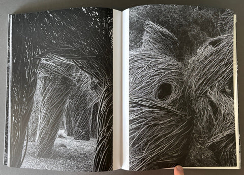 Sticks - Setanta Books
