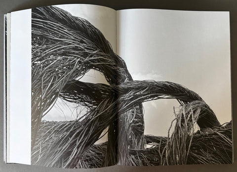 Sticks - Setanta Books