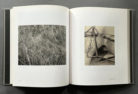 Stieglitz, Steichen, Strand - Setanta Books