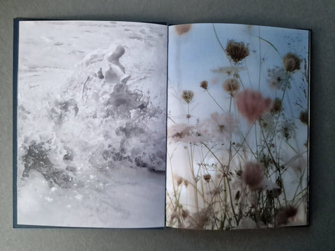 Strange Nature - Setanta Books