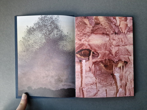 Strange Nature - Setanta Books