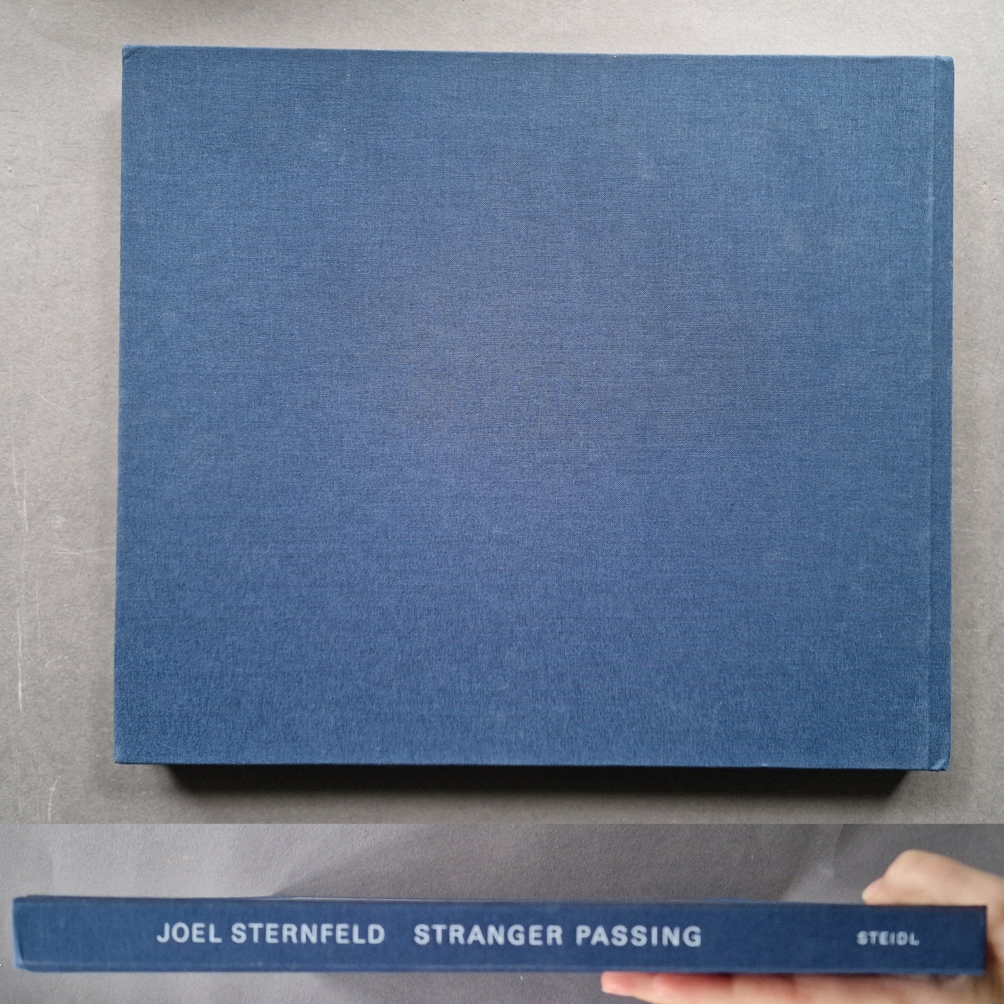 Buy Stranger Passing by Joel Sternfeld – Setanta Books