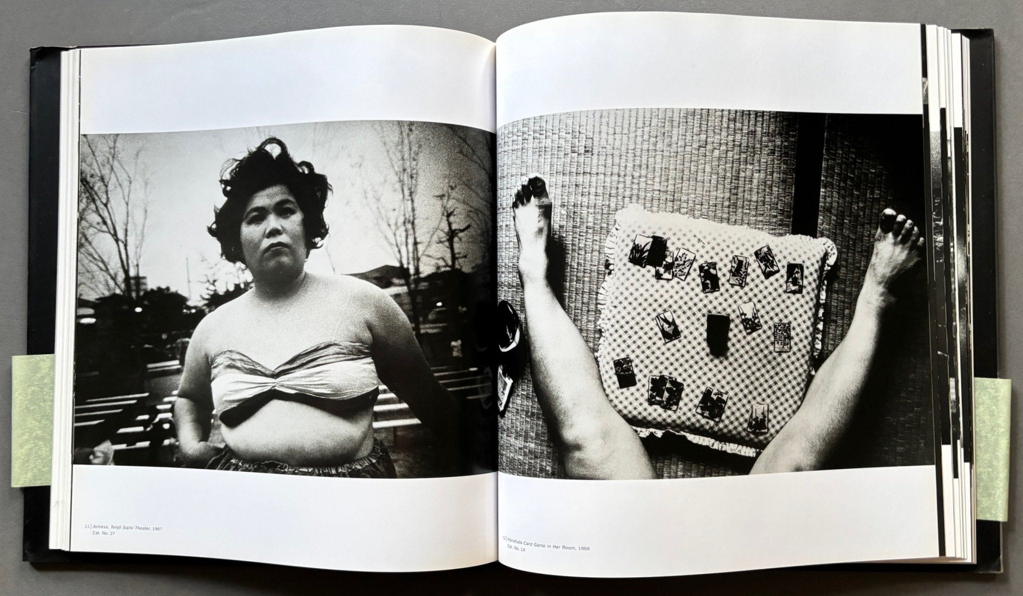 Buy Stray Dog by Daido Moriyama – Setanta Books