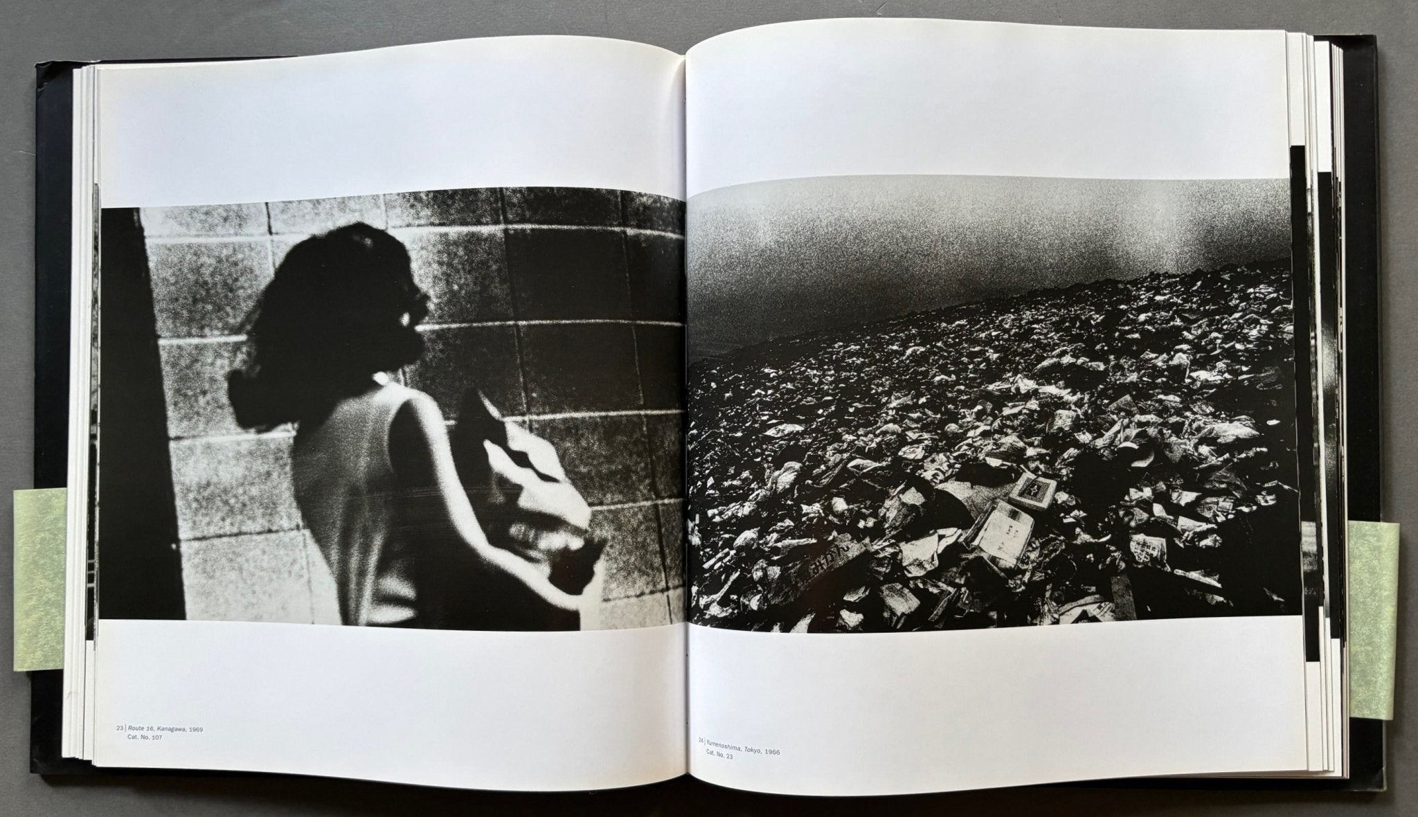 【Daido Moriyama: Stray Dog 】シュリンク包装未開封新品 Amazon.com: Daido Moriyama: Stray Dog: 9780918471505: Alexandra