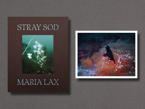 Stray Sod - Setanta Books