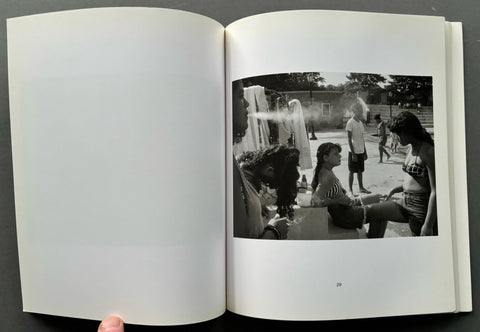 Sunset Park - Setanta Books