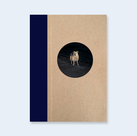Taken by the Tide - One Picture Book - Setanta Books