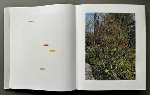 The 32 Inch Ruler - Setanta Books