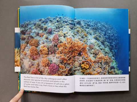 The Anemone, the Clownfish and Dr. Song - Setanta Books