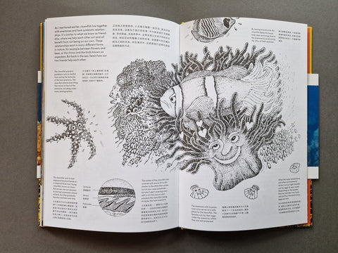 The Anemone, the Clownfish and Dr. Song - Setanta Books