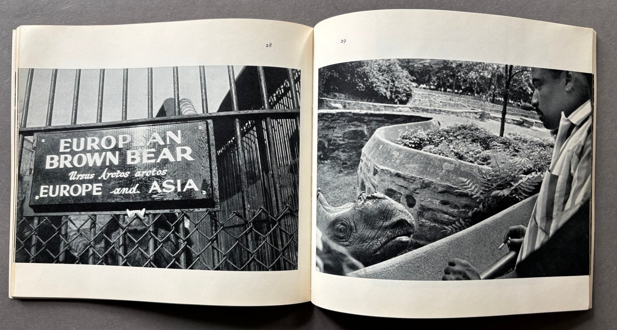 Buy The Animals by Garry Winogrand online – Setanta Books