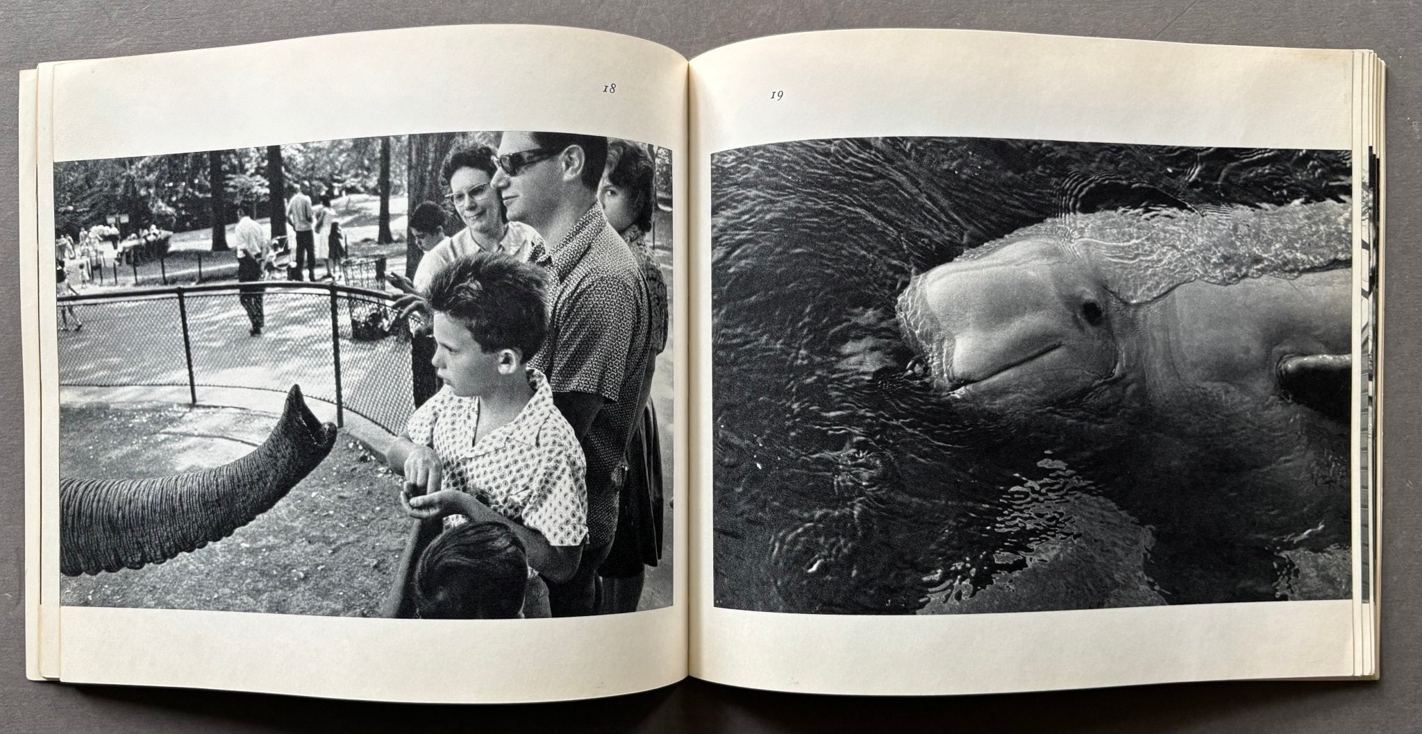 Buy The Animals by Garry Winogrand online – Setanta Books