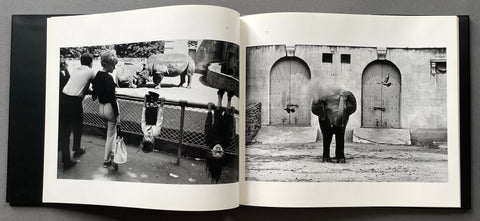The Animals - Setanta Books