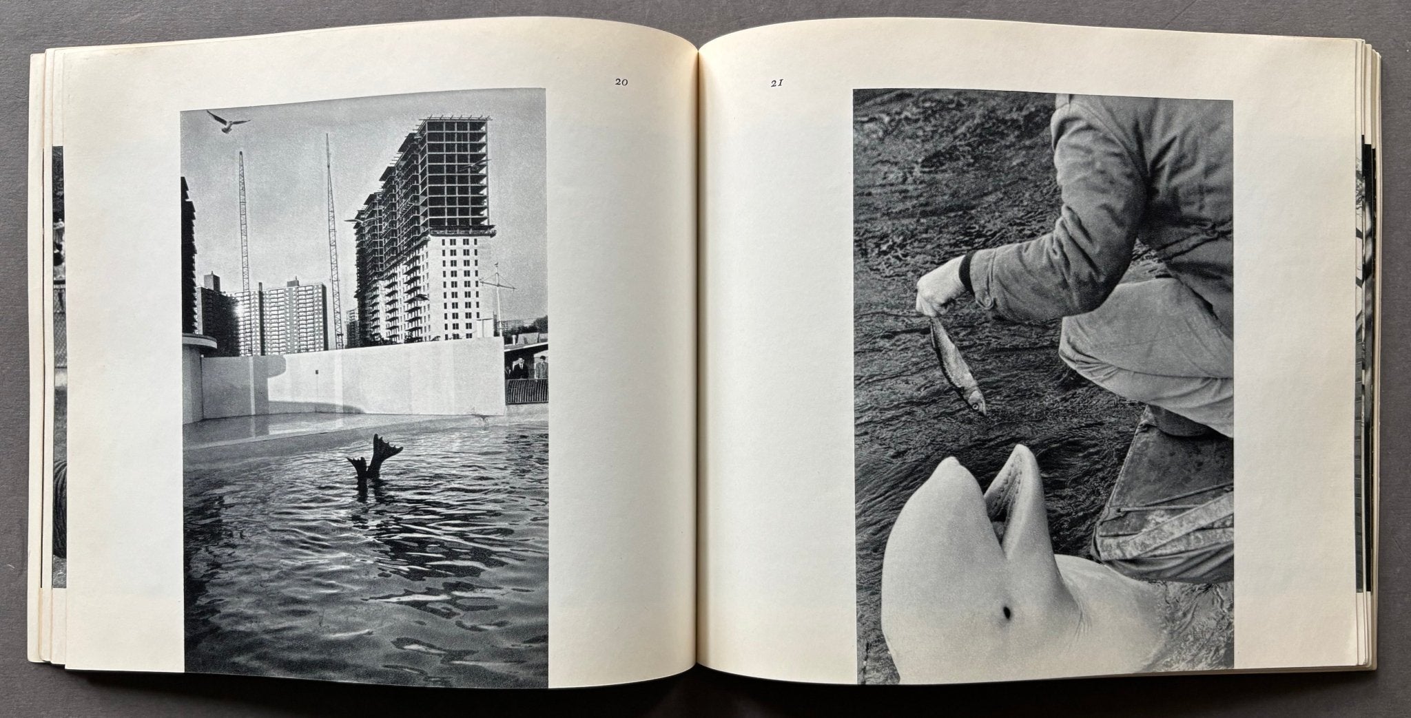 Buy The Animals by Garry Winogrand online – Setanta Books