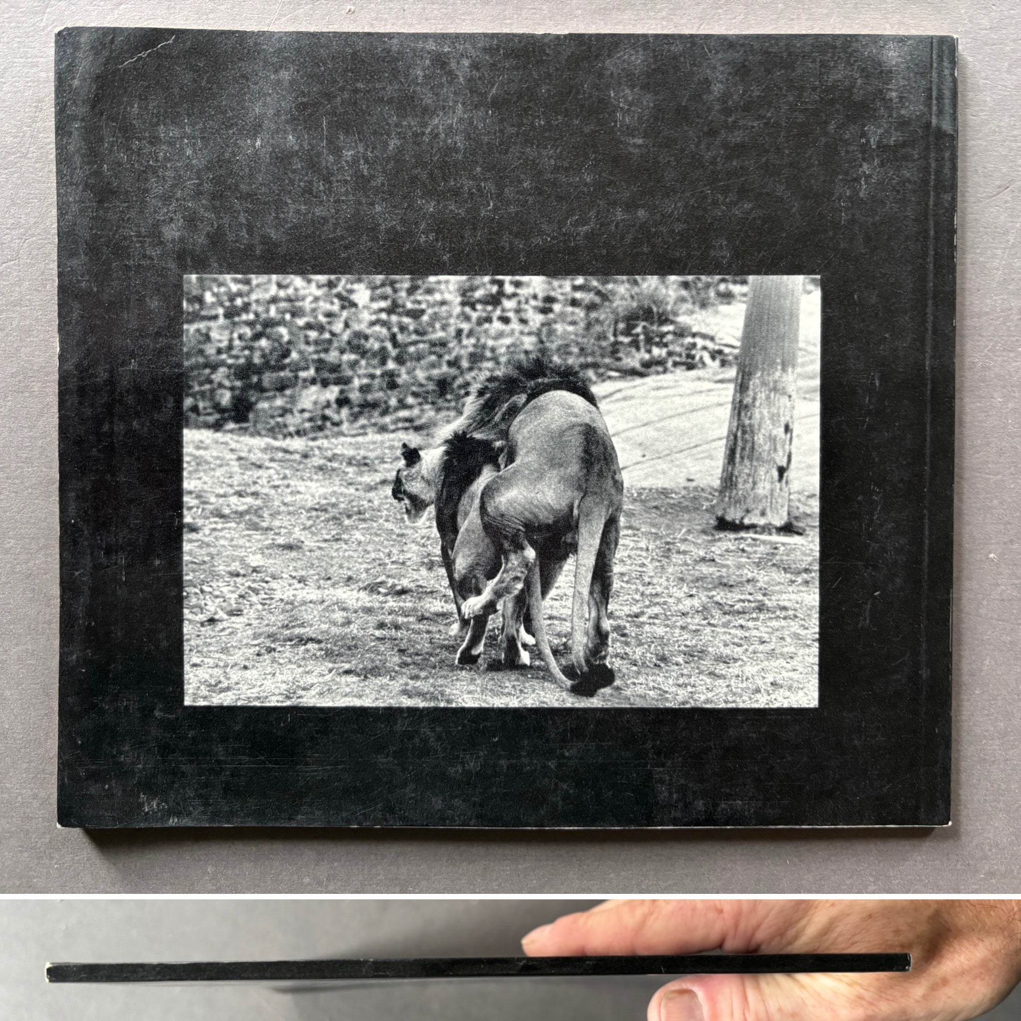 Buy The Animals by Garry Winogrand online – Setanta Books