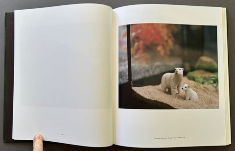 The Anthropocene Illusion - Setanta Books