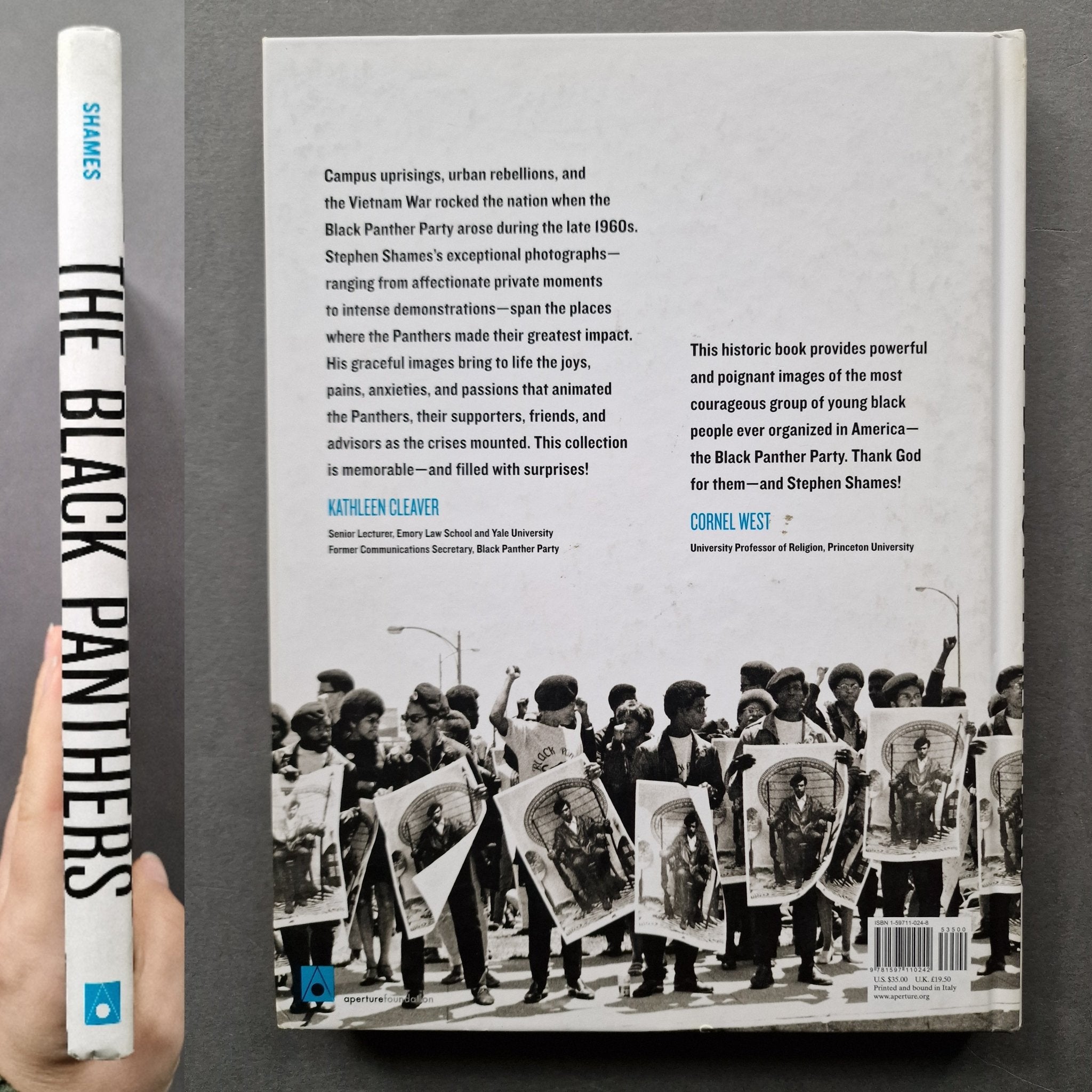 Buy The Black Panthers by Stephen Shames – Setanta Books