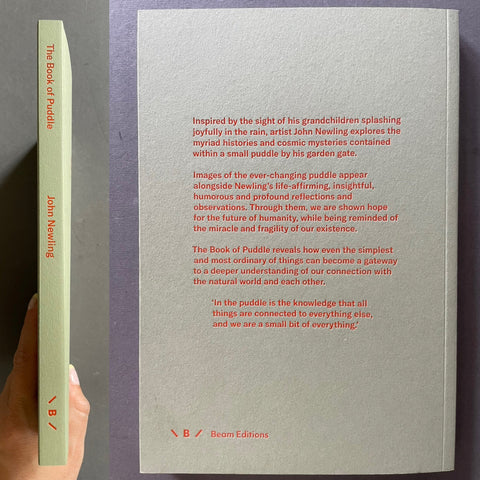 The book of puddle - Setanta Books