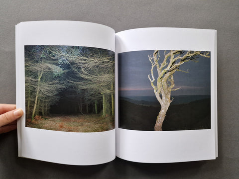 The Code For Flowers. The Last Star To Shine - Setanta Books