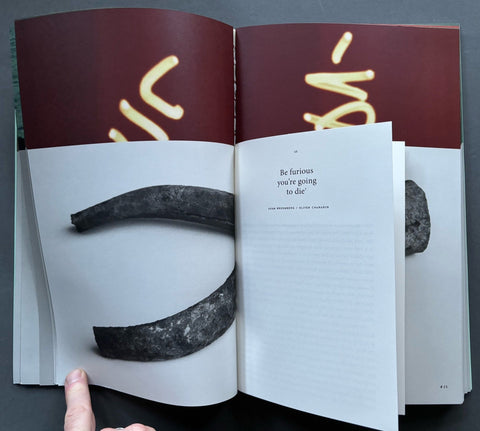 The Dodo - Setanta Books