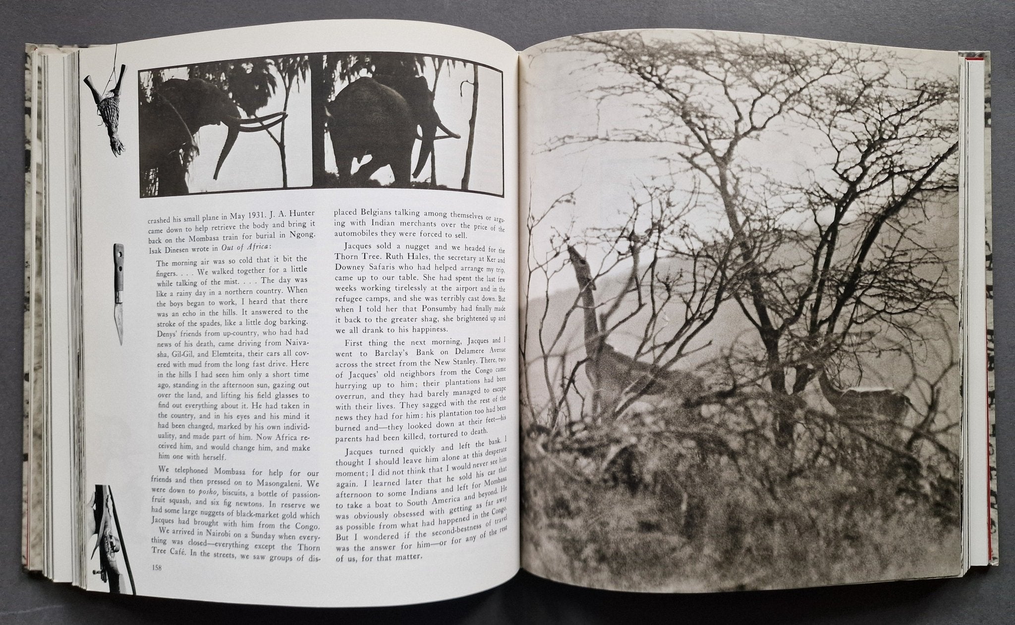 Buy The End Of The Game by Peter Beard – Setanta Books