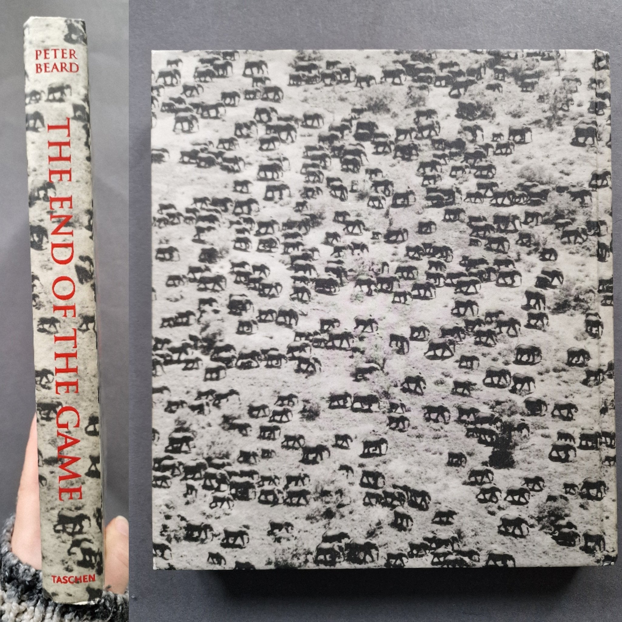 Buy The End Of The Game by Peter Beard – Setanta Books
