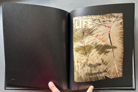 The Enigma of Belonging I & II - Setanta Books