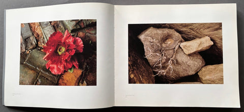 The Eye That Shapes - Setanta Books